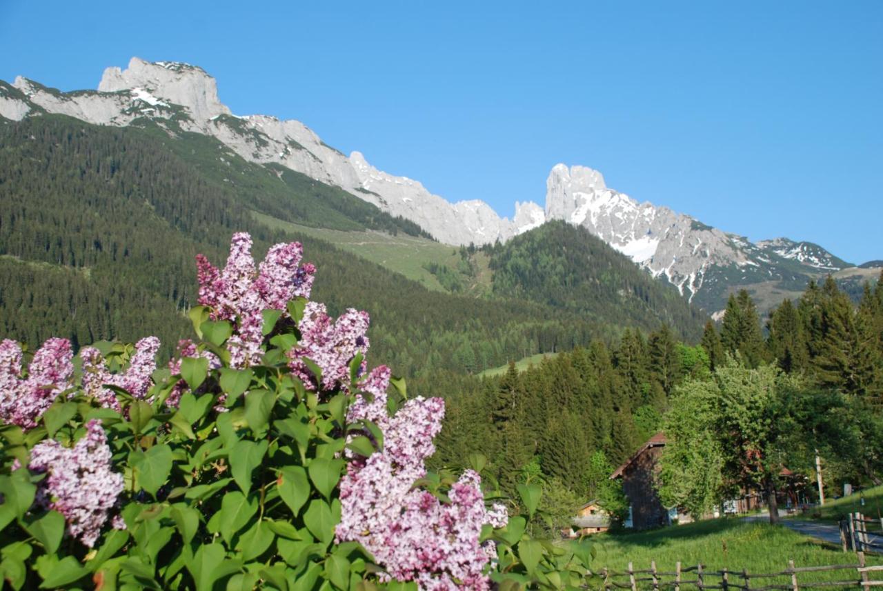 Апартаменты Alpenhaus Donnerkogel Аннаберг-им-Ламмерталь Экстерьер фото
