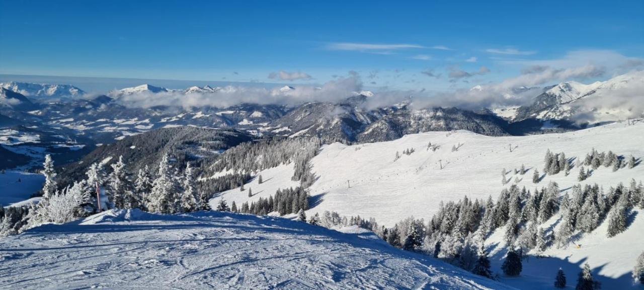 Апартаменты Alpenhaus Donnerkogel Аннаберг-им-Ламмерталь Экстерьер фото