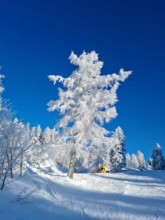 Апартаменты Alpenhaus Donnerkogel Аннаберг-им-Ламмерталь Экстерьер фото