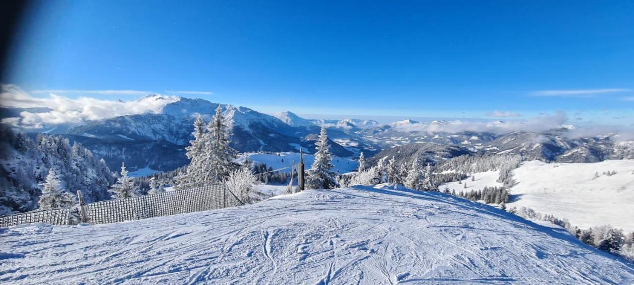 Апартаменты Alpenhaus Donnerkogel Аннаберг-им-Ламмерталь Экстерьер фото